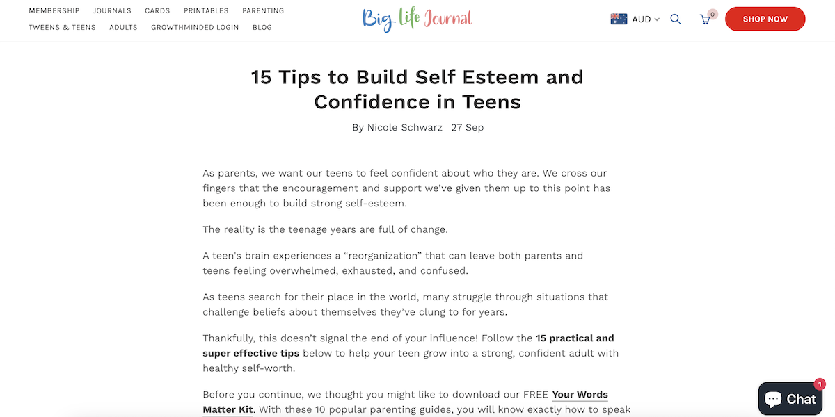 Big Life Journal